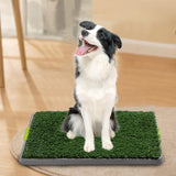 Maxbell Training Potty Pad Artificial Grass Dog Pee Pads for Small Medium Dogs