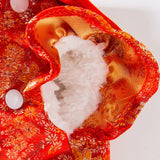 Maxbell New Year Dog Costume Cute Tassel Warm Pet Winter Coat for Puppy Teddy Bichon