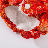 Maxbell New Year Dog Costume Cute Tassel Warm Pet Winter Coat for Puppy Teddy Bichon