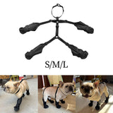 Maxbell Dog Sock Shoes Anti Fall Waterproof Comfortable Anti Dirty Paw Protectors S