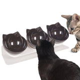 Maxbell Raised Cat Bowls Durable Cat Food and Water Bowl for Indoor Cats Puppy Black