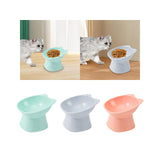 Maxbell Raised Cat Bowls Snack Container for Small, Medium and Large Cats Kitty Dogs Blue