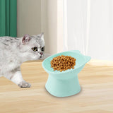 Maxbell Raised Cat Bowls Snack Container for Small, Medium and Large Cats Kitty Dogs Blue