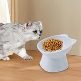 Maxbell Raised Cat Bowls Snack Container for Small, Medium and Large Cats Kitty Dogs Gray