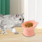 Maxbell Raised Cat Bowls Snack Container for Small, Medium and Large Cats Kitty Dogs Pink