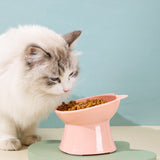 Maxbell Raised Cat Bowls Snack Container for Small, Medium and Large Cats Kitty Dogs Pink