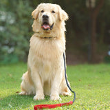 Maxbell Dog Training Leash Comfortable Handle Portable Slip Leads for Dogs Dog Chain Red