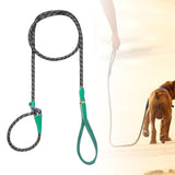 Maxbell Dog Training Leash Comfortable Handle Portable Slip Leads for Dogs Dog Chain Green