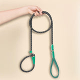 Maxbell Dog Training Leash Comfortable Handle Portable Slip Leads for Dogs Dog Chain Green