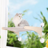 Maxbell Cat Sleeping Bed Basking Large Sturdy Space Saving Kitten Cat Window Hammock