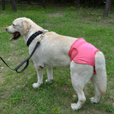 Maxbell Reusable Dog Physiological Pants Absorbent Washable Elastic Dog Season Pants