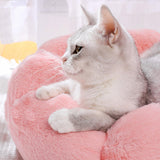 Maxbell Small Dog Beds Anti Skid Bottom Durable Plush Cushion for Kitten Dogs Poodle Pink 50cm