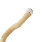 Maxbell Bird Perch Parrot Bird Standing Grape Stick for Conures Cockatiels Parakeets 30cm