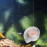 Maxbell Snail Catcher Practical Lightweight Sturdy Multitool Easy to Use Transparent