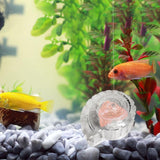 Maxbell Snail Catcher Practical Lightweight Sturdy Multitool Easy to Use Transparent