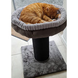 Maxbell Cat Scratch Post with Plush Cat Bed Climbing Plush Nest for Indoor Cats Cats