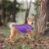 Maxbell Dog Winter Coat Adjustable Full Body Clothing Reversible Apparel Pet Clothes violet and green