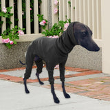 Maxbell Dog Coats Warm Soft High Collar Comfortable Pullover Dog Pajamas for Pet Dog Black 2XL