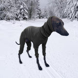 Maxbell Dog Coats Warm Soft High Collar Comfortable Pullover Dog Pajamas for Pet Dog Black 2XL