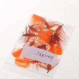 Maxbell 10pcs Bead Head Woolly Bugger Wet Flies Sinking Trout Fishing Flies - Orange