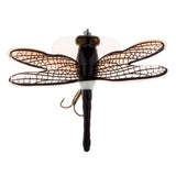 Maxbell Popper Fishing Bait Life-like Dragonfly Floating Fly Fishing Flies Color F 003