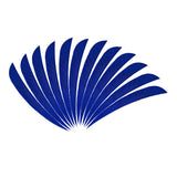Maxbell 12pcs 3inch Archery Arrow Turkey Feathers Fletchings Vanes Dark Blue