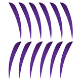 Maxbell 12pcs 3inch Archery Arrow Turkey Feathers Fletchings Vanes Purple