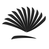 Maxbell 12 Pieces Archery Hunting Arrow Feather Fletching Right Wing Fletches 4 inch Black