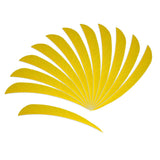 Maxbell 12 Pieces Archery Hunting Arrow Feather Fletching Right Wing Fletches 4 inch Yellow