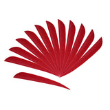 Maxbell 12 Pieces Archery Hunting Arrow Feather Fletching Right Wing Fletches 4 inch Red