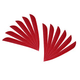 Maxbell 12 Pieces Archery Hunting Arrow Feather Fletching Right Wing Fletches 4 inch Red