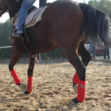 Maxbell 4pcs Soft Fleece Equestrian Leg Wraps Bandage for Horse Riding Racing Black
