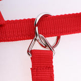 Maxbell Adjustable Nylon Webbing Equestrian Western Horse Halter Horse Riding Wear Red M