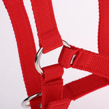 Maxbell Adjustable Nylon Webbing Equestrian Western Horse Halter Horse Riding Wear Red M
