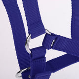 Maxbell Adjustable Nylon Webbing Equestrian Western Horse Halter Horse Riding Wear Blue S