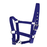 Maxbell Adjustable Nylon Webbing Equestrian Western Horse Halter Horse Riding Wear Blue S