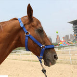 Maxbell Adjustable Nylon Webbing Equestrian Western Horse Halter Horse Riding Wear Black S