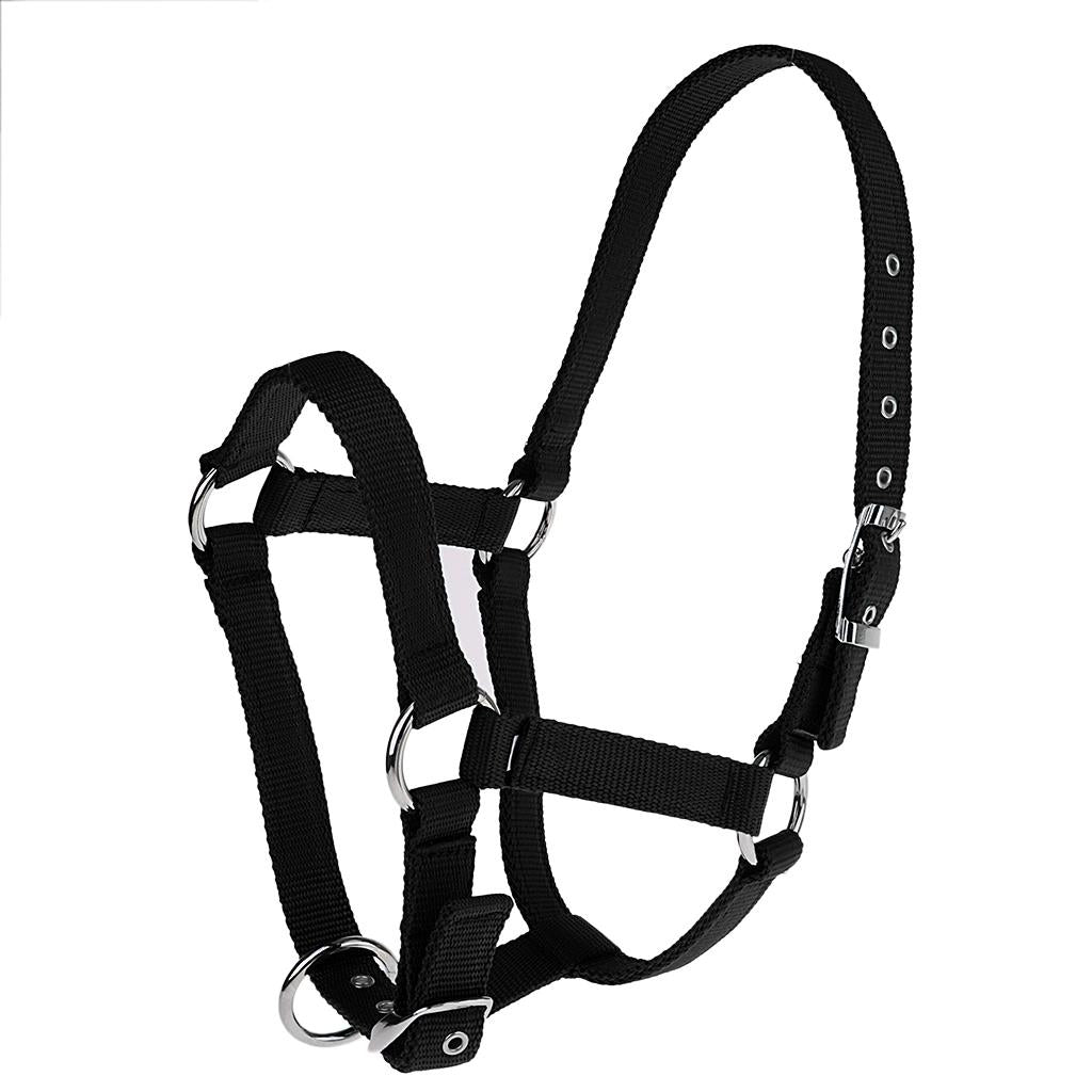 Maxbell Adjustable Nylon Webbing Equestrian Western Horse Halter Horse Riding Wear Black M