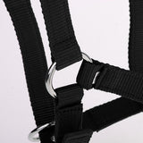 Maxbell Adjustable Nylon Webbing Equestrian Western Horse Halter Horse Riding Wear Black M