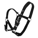 Maxbell Adjustable Nylon Webbing Equestrian Western Horse Halter Horse Riding Wear Black M