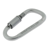 Max Durable Locking Climbing Carabiner D Shape Matte Silver Keychain Clip Type 2