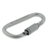 Max Durable Locking Climbing Carabiner D Shape Matte Silver Keychain Clip Type 2