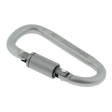 Max Durable Locking Climbing Carabiner D Shape Matte Silver Keychain Clip Type 2
