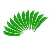 Max 12pcs 4inch Archery Feathers Fletches Right Wing Parabolic Fluorescent Green