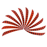 Max 12pcs 4inch Archery Feathers Fletches Right Wing Parabolic Cut Shape Orange