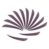 Max 12 Pieces 5 Inch Archery Arrow Feathers Fletchings Vanes Brown