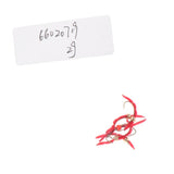Max Maxb 5 Pieces San Juan Squirmy Wormy Trout Worm Fly Assortment Fishing Flies Red