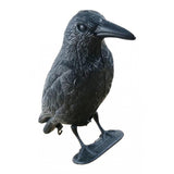 Max Lightweight Simulation 3D Lifelike Crow Decoys Raven Decoying Scarecrow