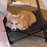 Maxbell Portable Elevated Pet Bed Washable Collapsible Camp Bed for Traveling Coffee