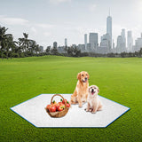 Maxbell Picnic Mat Aluminum Foil Damp Proof Waterproof Sleeping Mattress for Lawn 220cm